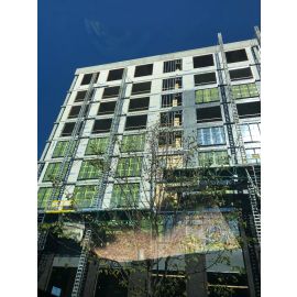 Window Protection Film 365 Day